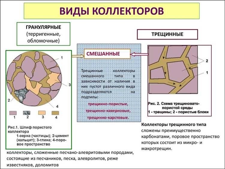 Коллектор - это человек особенности функции задачи