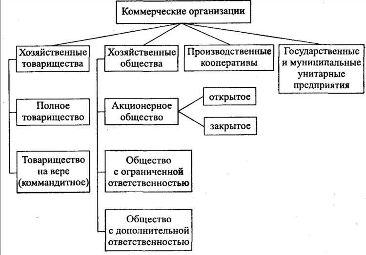 Коммерческие организации кто они и какие виды существуют