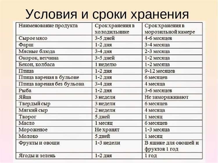 Срок годности вина как правильно хранить и определить годовой период